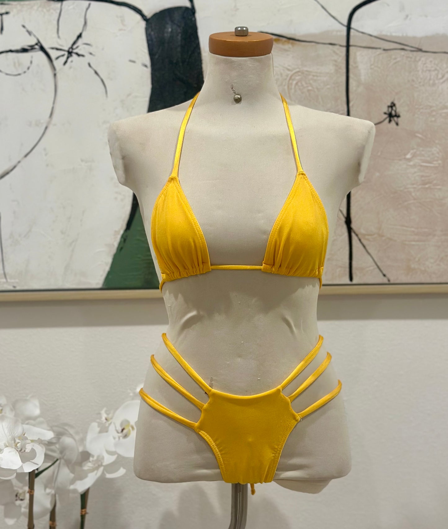 Tropical Tease bikini